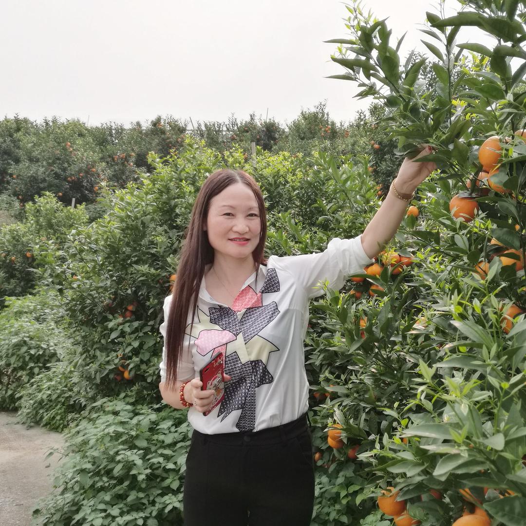 认证陈小姐