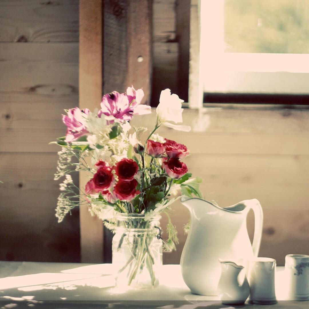 云淡风轻（拒微、拒私聊）