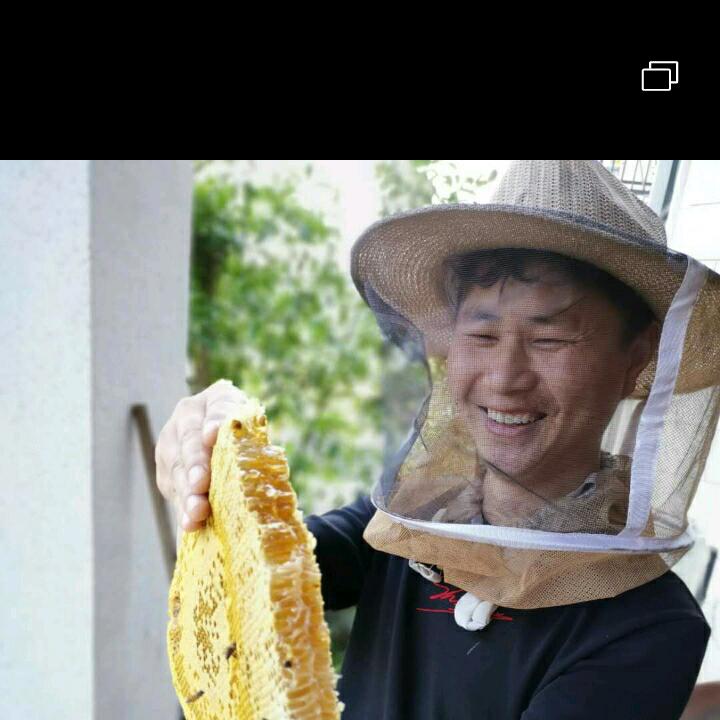 土蜜蜂，黄美东