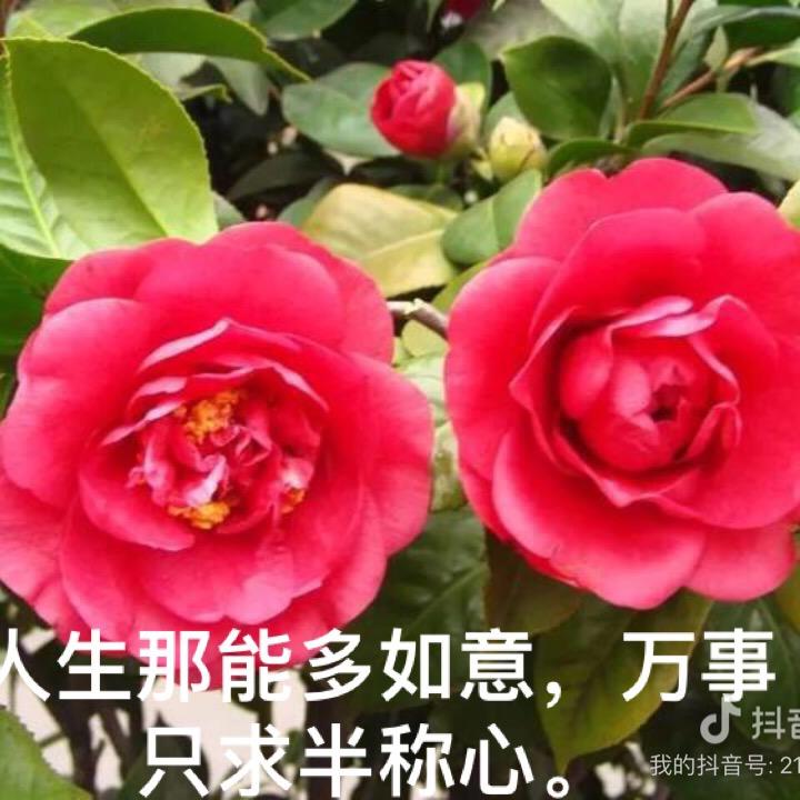 雨后彩虹