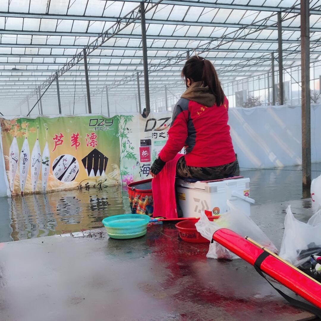 清心-闯闯京城女钓手钓鱼直播