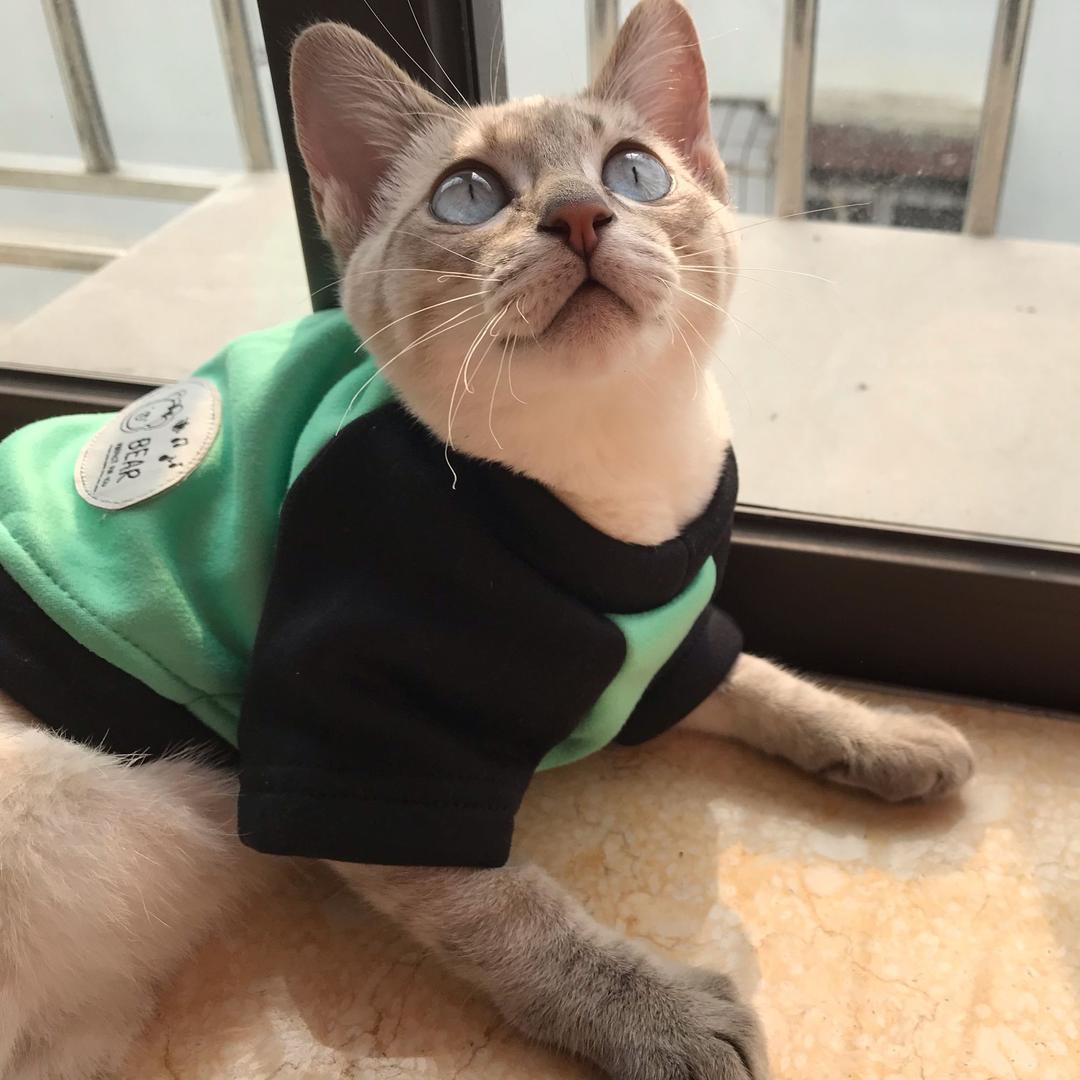 笔筒撒