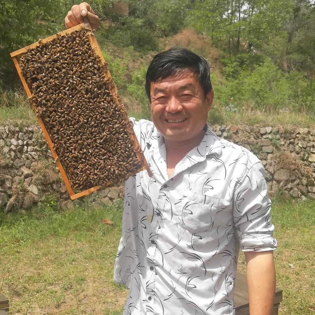 涉县蜂蜜哥