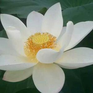 知足常乐（关赞必回，拒私聊）