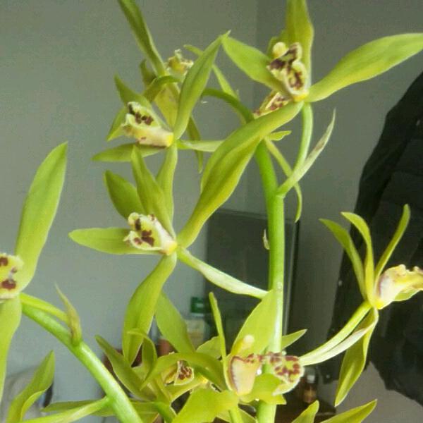 💋孩子王🙋(*^ω^*)