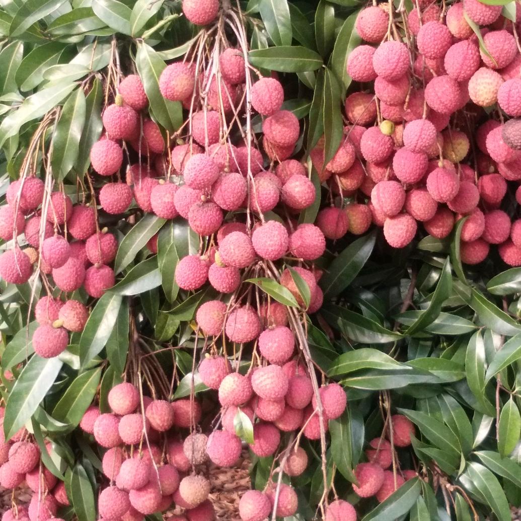 用心过好每一天