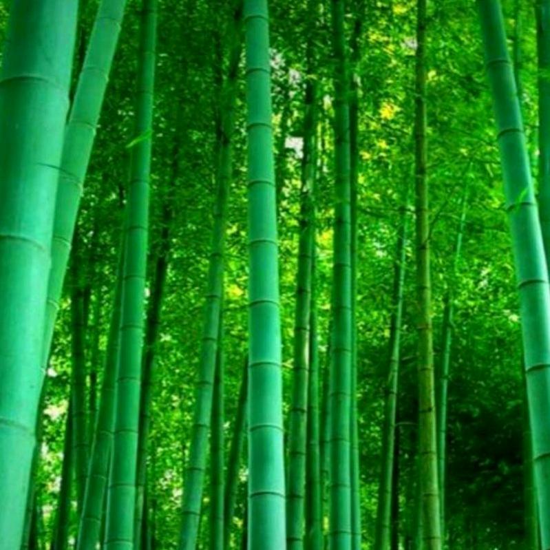 虾稻农场，专业防水工程