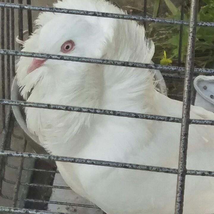 人生路