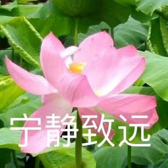 火