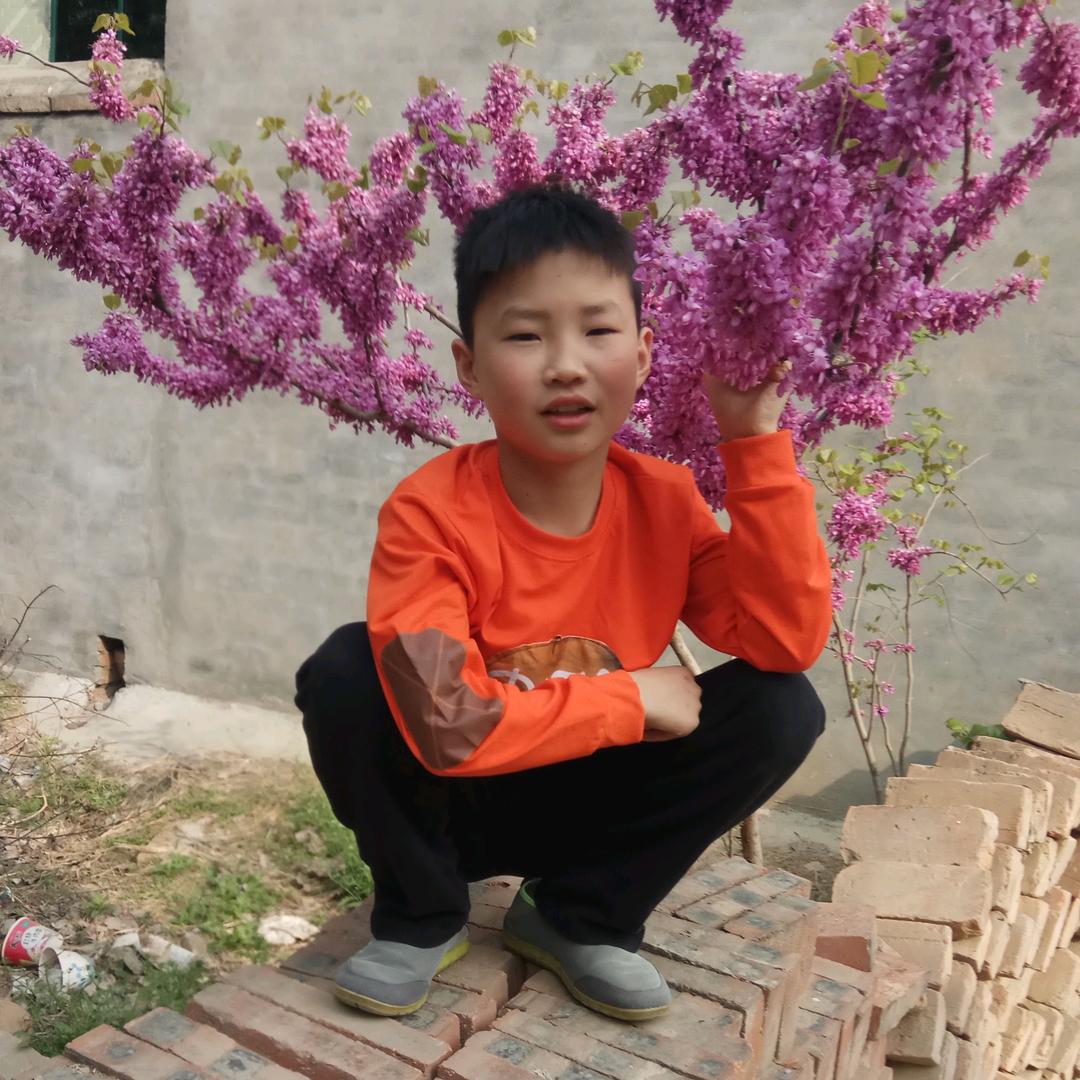 华丽人生