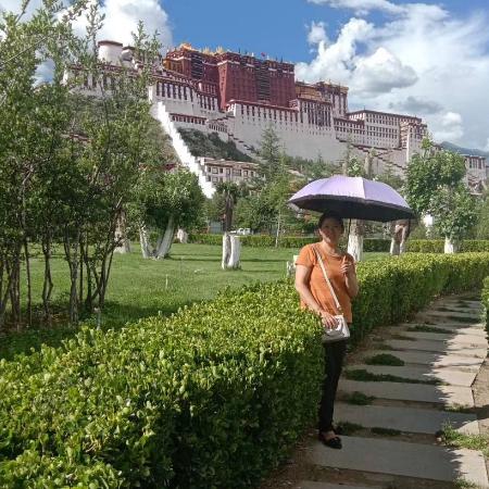 时间去哪(69)