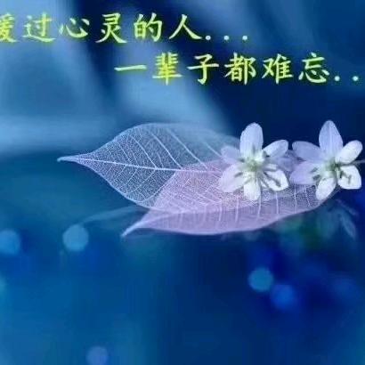 精彩人生