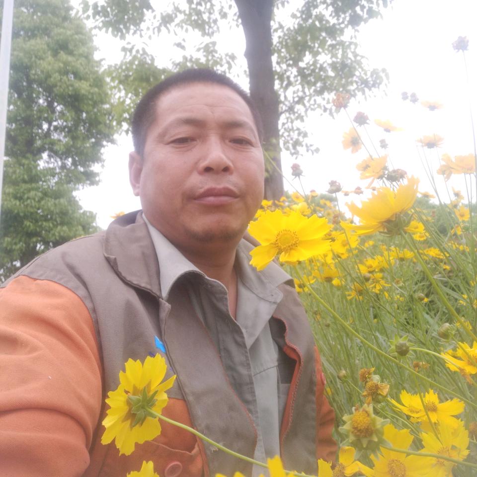 大叔也风狂