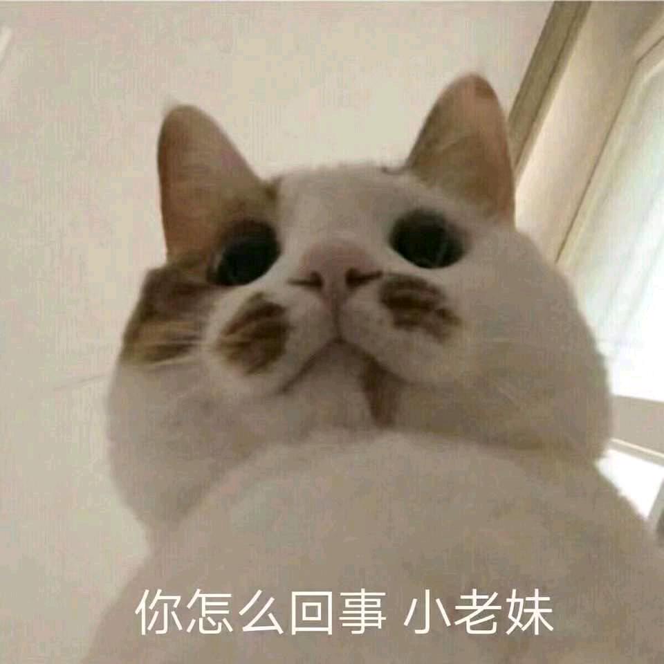 西门吹13
