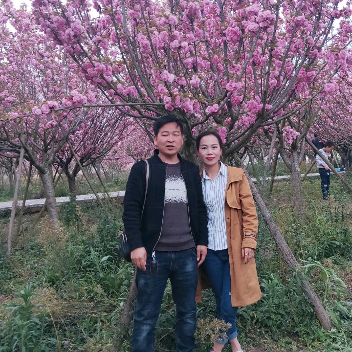 刘权