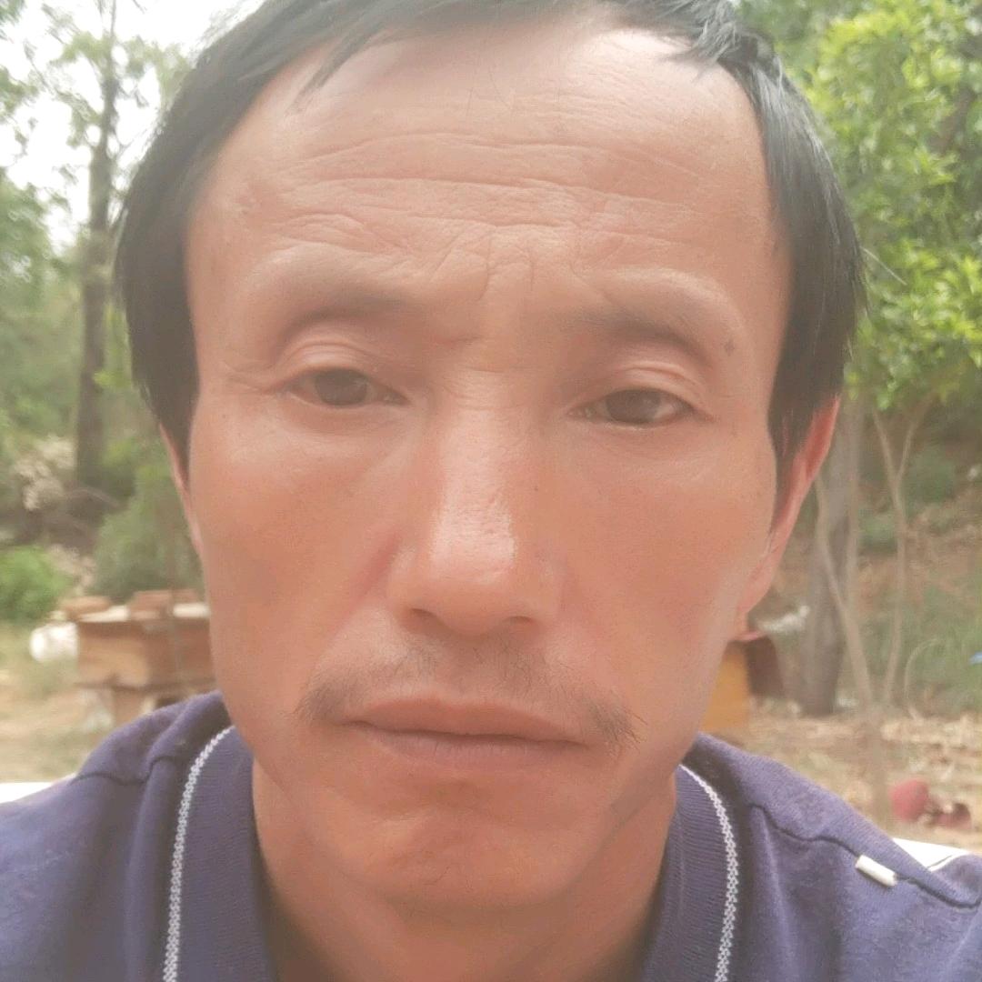 宜良李元中蜂养殖专业合作社专业蓝莓受粉