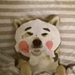 扎马尾的丹丹