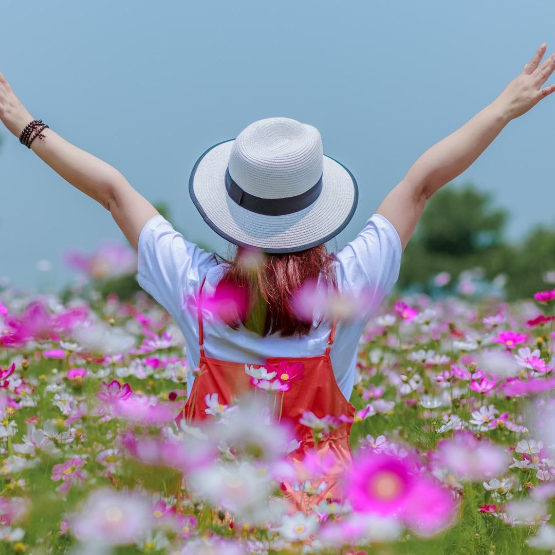 用户3785645312203微风低吟