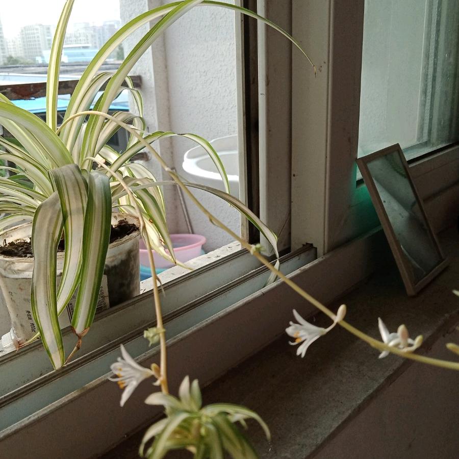 用户4469168855125三龙刘改和