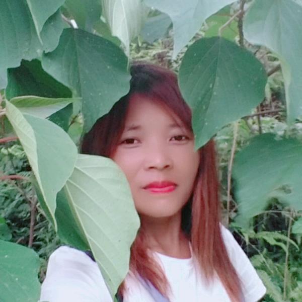 缘来是你