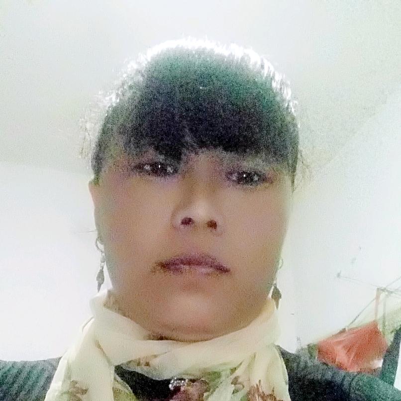 花开无叶
