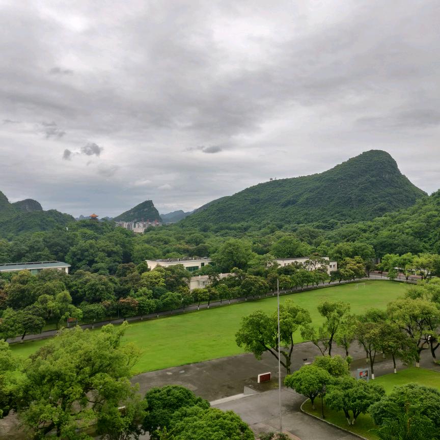 微风的风