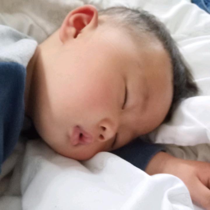 手机用户8310555010
