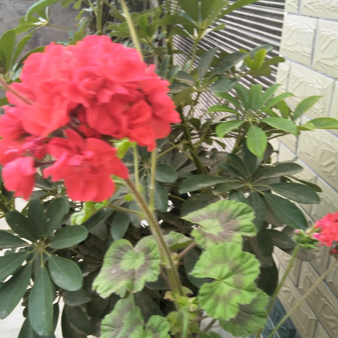 定做服装和窗帘