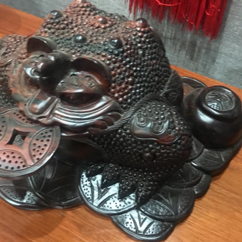 遇见幸运草