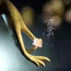 金老三