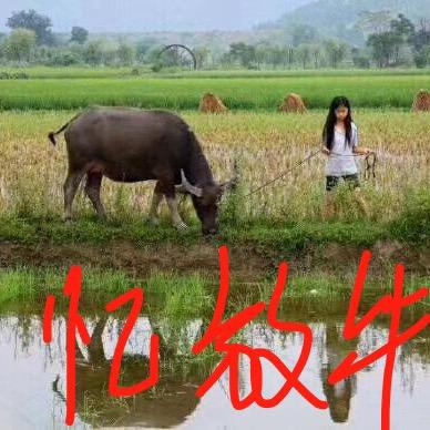 战狼3/正在拍摄中…