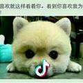 尘土化为财富，充满智慧与创造力的李大大