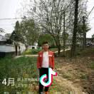 太和辉隆现代农业服务-罗俊启