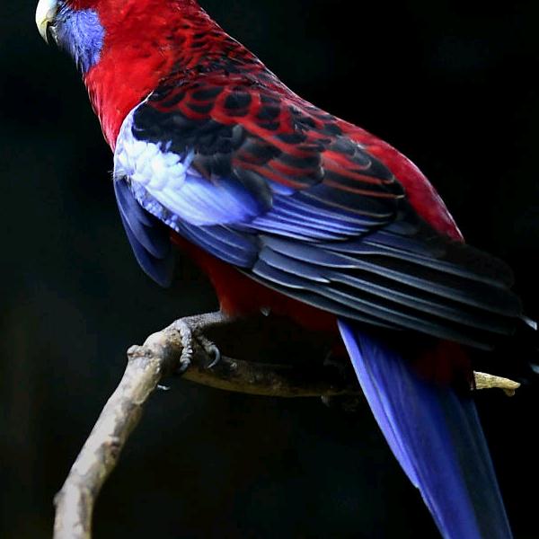 【李一休】😈😈😈点击[htt