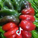 半山湾酒店小胡