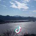 艺海