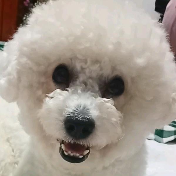 坚决不再糊涂