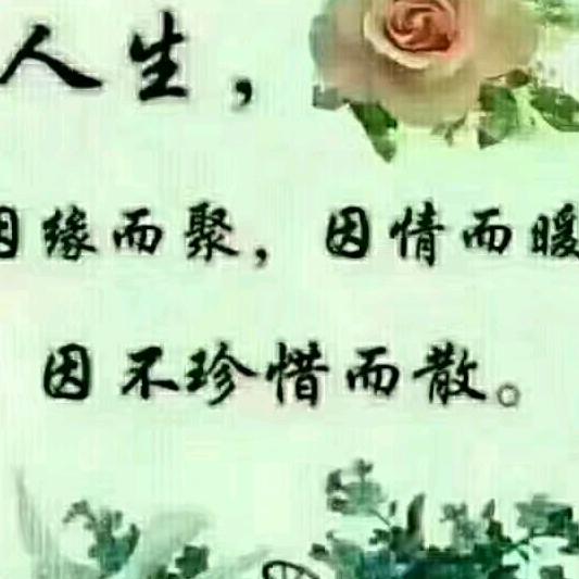 低调飘过