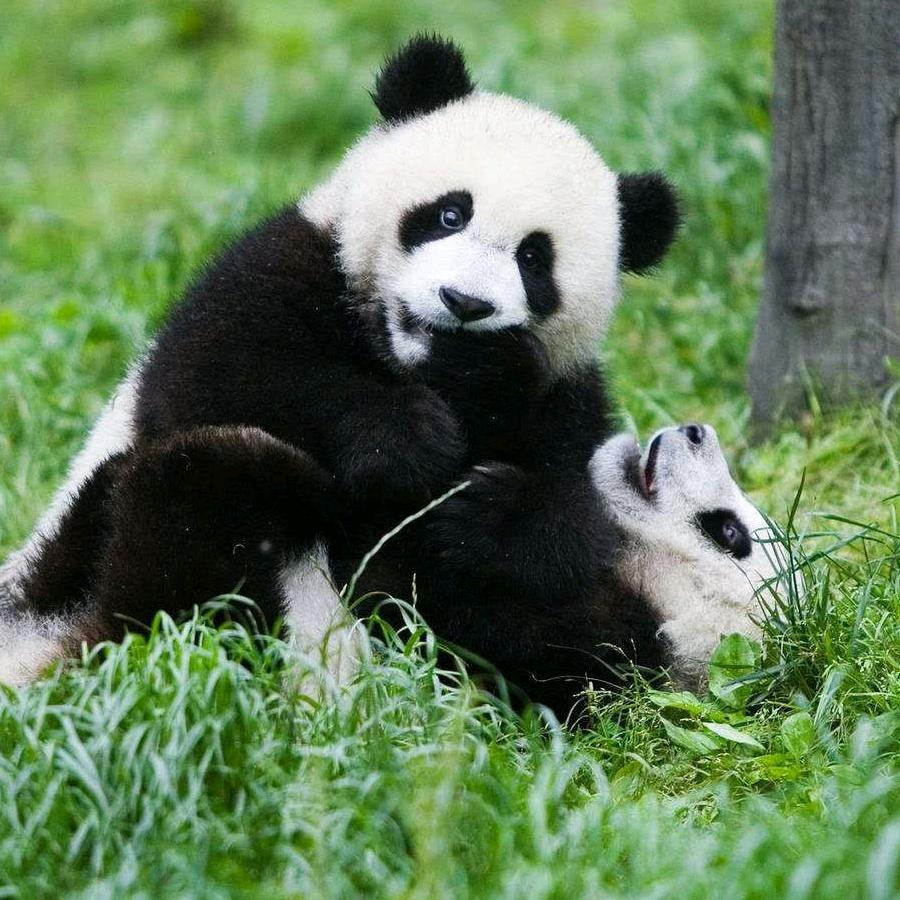 每一天都开心
