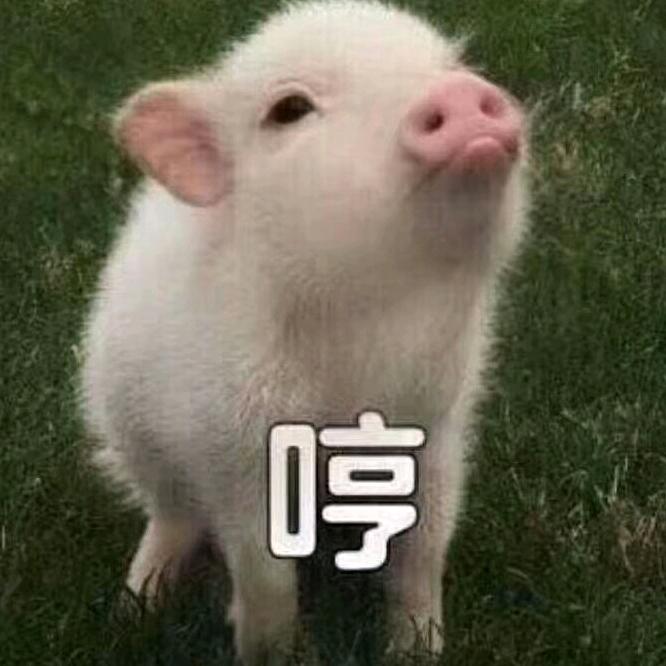 沉默
