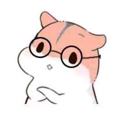 学数学的程序猿