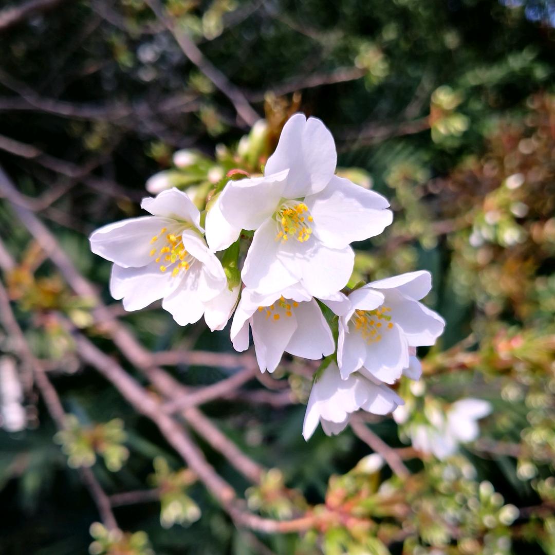 磊宝
