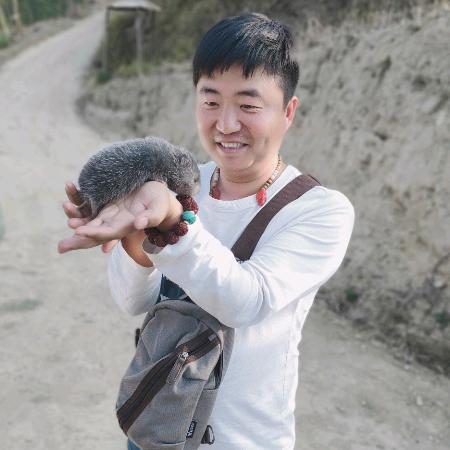 歪歪牛油果