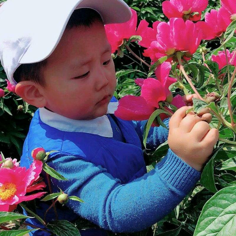 你是我的全部