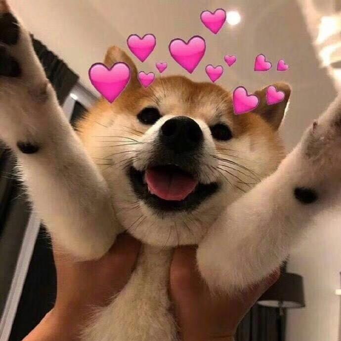 🌸 祢的微笑.  ✨ 💗