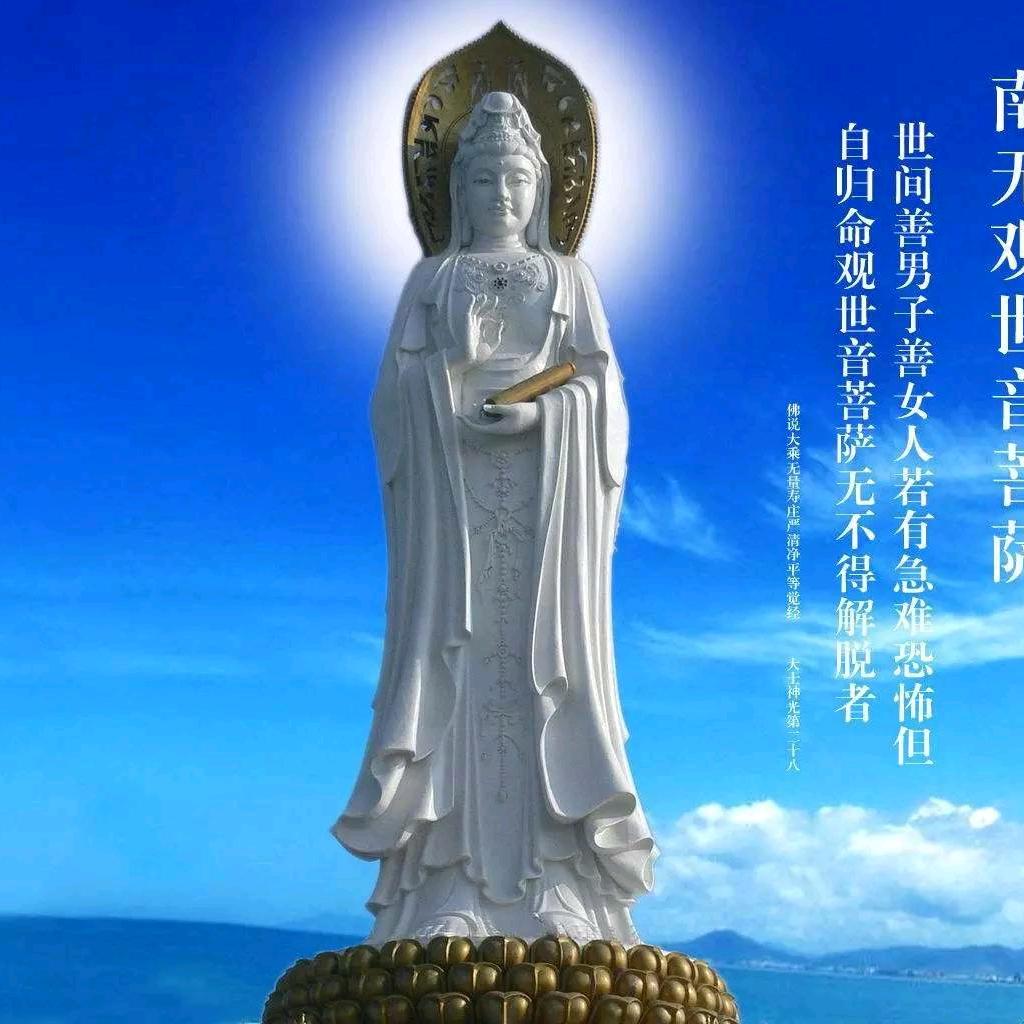 莫莫
