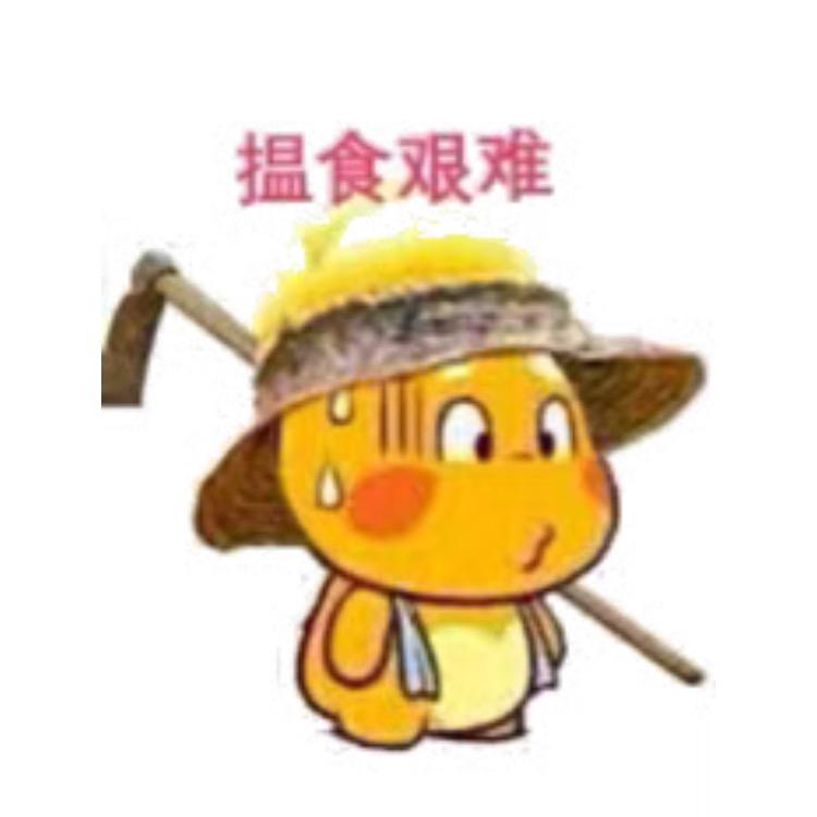 小伙伴💯