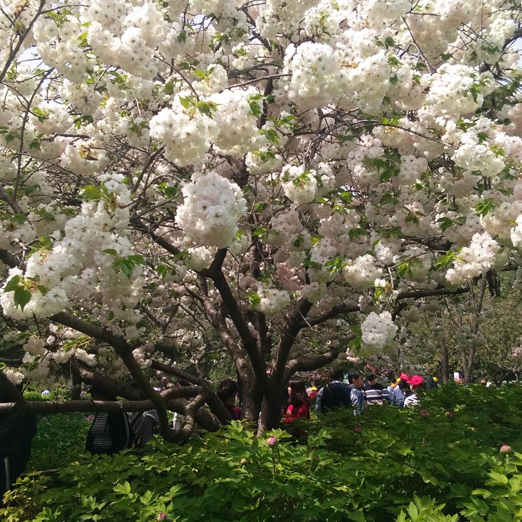 用户9898946043553苦乐年华