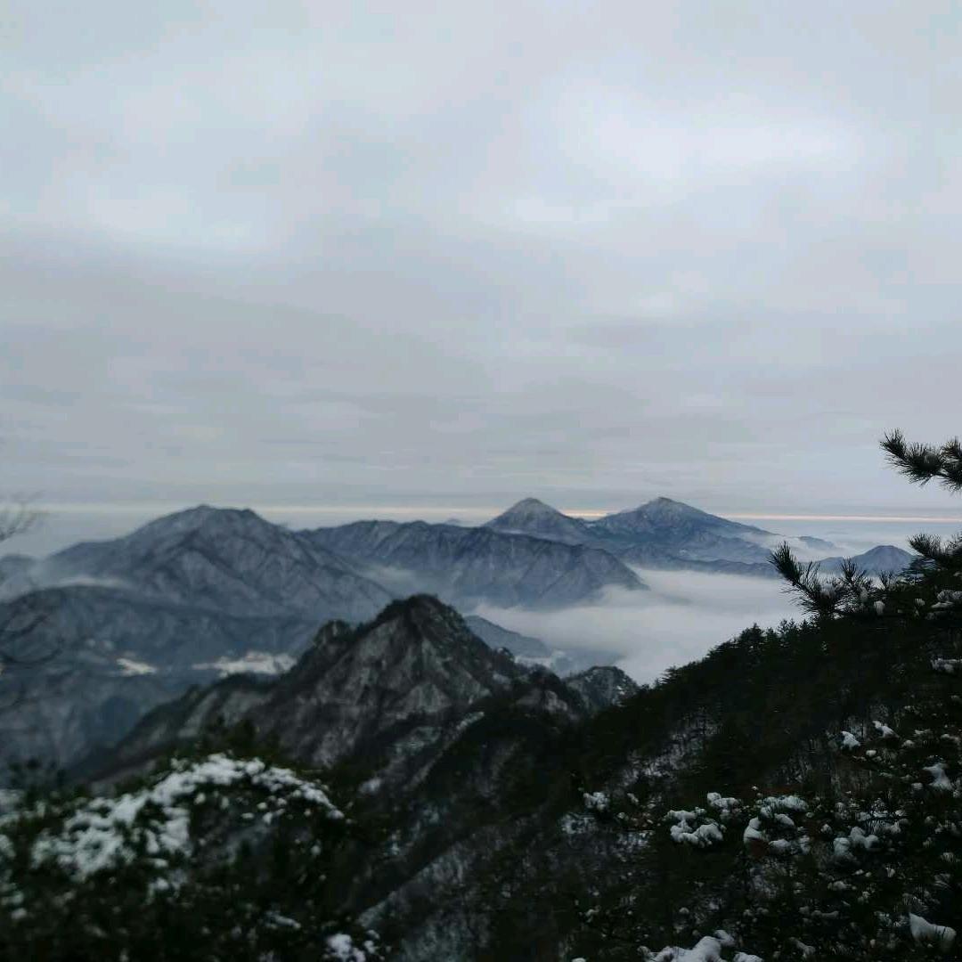 募直向前