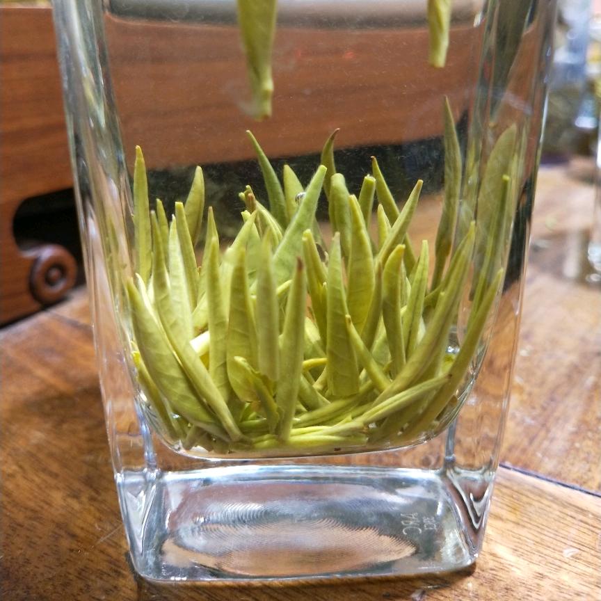 蜀茗春，四川白茶，黄金芽，龙井！